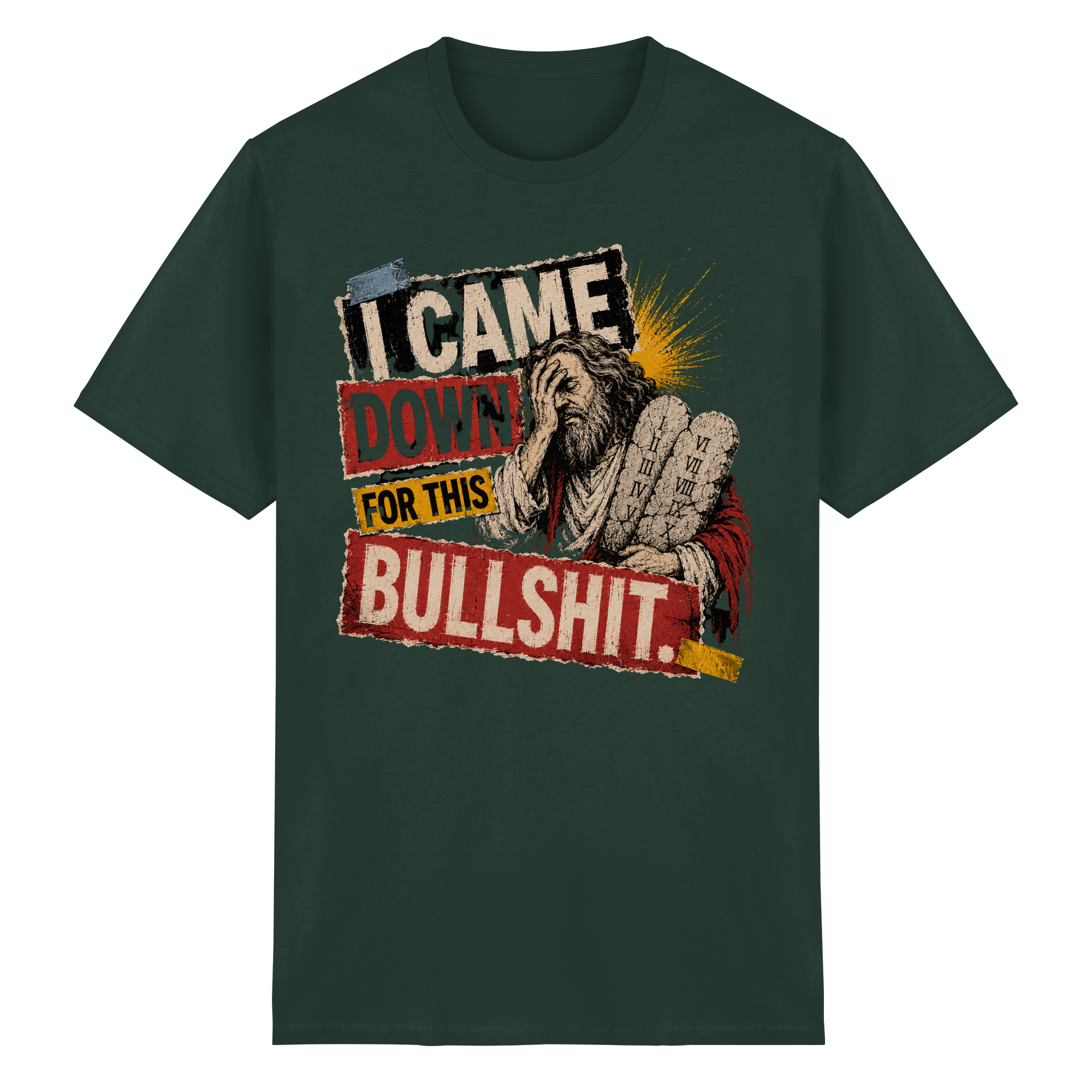 I CAME DOWN FOR THIS... - Heavy Cotton T-Shirt